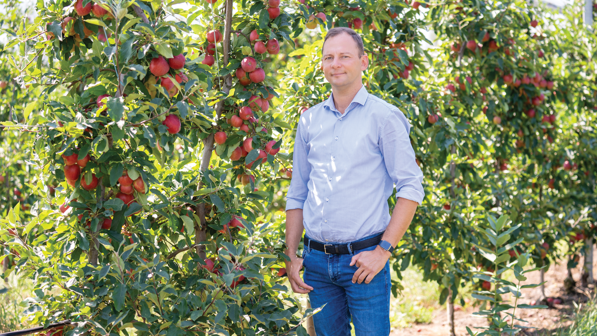 Bold Agro Mezőgazdasági Kft..jpg